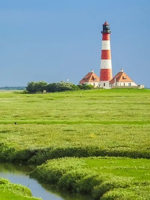 Suchmaschinenoptimierung und Local SEO Schleswig-Holstein